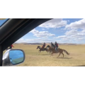 旅行风景2838