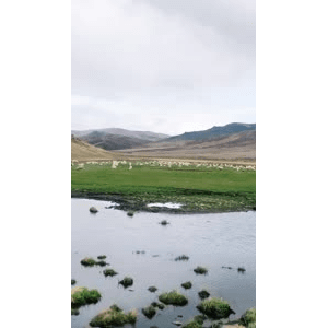 旅行风景2842