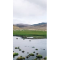 旅行风景2842
