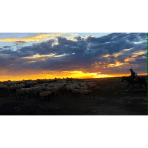 旅行风景2847