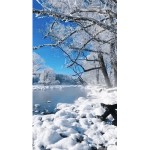 旅行风景2856