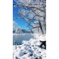 旅行风景2856