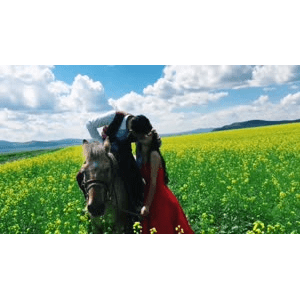 旅行风景2857