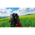 旅行风景2857
