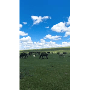 旅行风景2859
