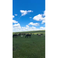 旅行风景2859