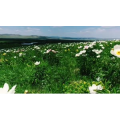 旅行风景2861