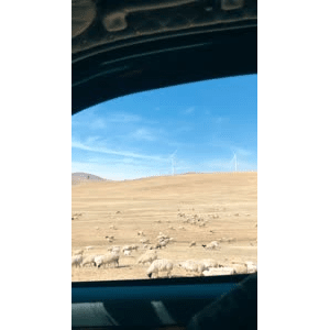 旅行风景2876