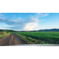 旅行风景2889