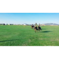 旅行风景2904