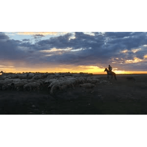 旅行风景2905