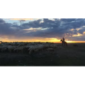 旅行风景2905