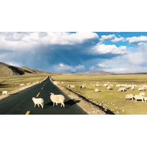 旅行风景2909
