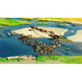 旅行风景2918