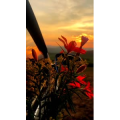 旅行风景2926