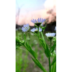 旅行风景2928