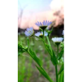 旅行风景2928