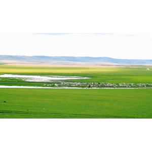 旅行风景2929