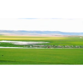旅行风景2929