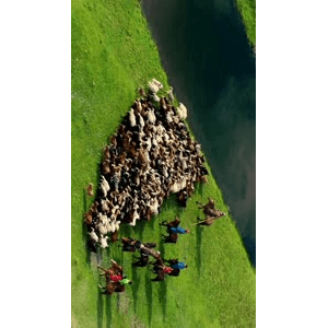 旅行风景2932