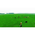 旅行风景2943