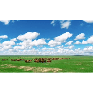 旅行风景2945