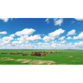 旅行风景2945