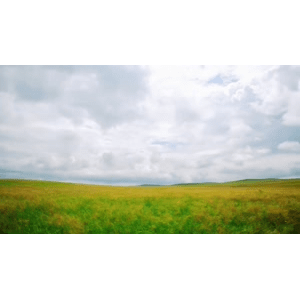 旅行风景2950