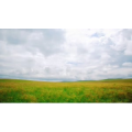 旅行风景2950