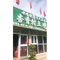 旅行风景2956