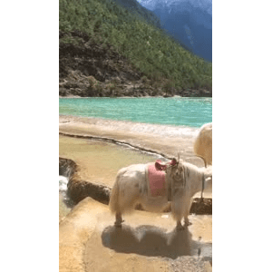 旅行风景2972