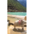 旅行风景2972