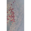 旅行风景2973