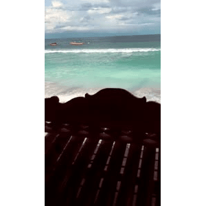 旅行风景2991