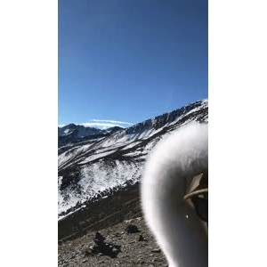 旅行风景2993
