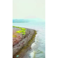 旅行风景3008