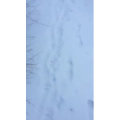 旅行风景3040