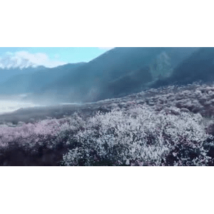 旅行风景3066