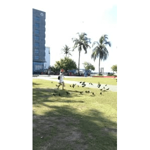 旅行风景3095