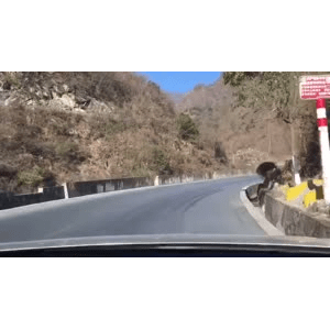 旅行风景3106
