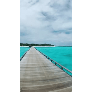 旅行风景3118