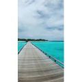旅行风景3118