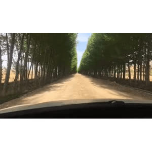 旅行风景3140