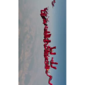 旅行风景3142