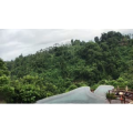 旅行风景3143