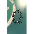 旅行风景3152
