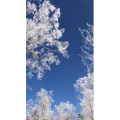 旅行风景3158