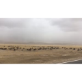旅行风景3169