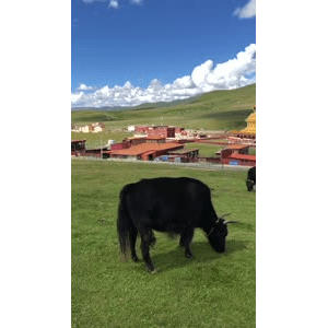 旅行风景3183
