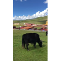 旅行风景3183